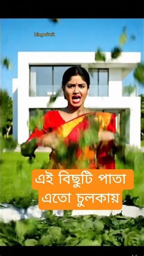 দেখি তো কুয়াতে বিছুটি পাতা দিলে কি হয়।