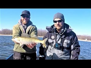 Amazing Action on Ice Out Walleye and Sauger (Featuring DWS Outdoors) | Mississippi River Walleye