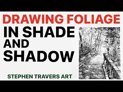 Want to Create Tree Shadow Effects?