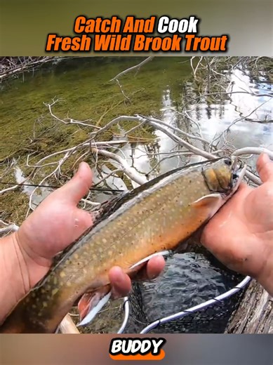 Mastering Outdoor Cooking: Catch and Cook Techniques