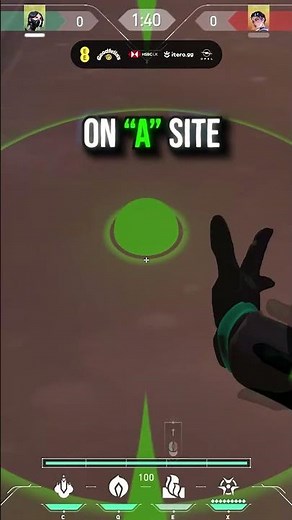 Pro-Level Viper Wall Lineup on Icebox