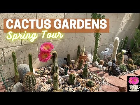 Spring 2022 Cactus Gardens Tour | #cactus #cactusgarden