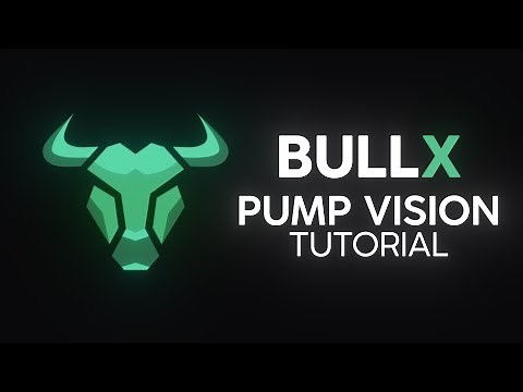 BullX | Pump Vision Tutorial (BEST SETTINGS)