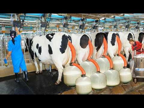 John Deere X9 Pretty Girl Farm Tractor Driver Combine Harvester Machines VOLVO Cultivator