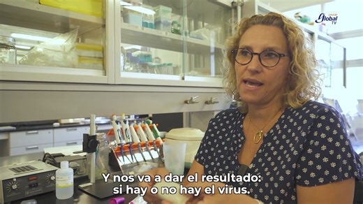 #ExpertasUNAM desarrollaron un biosensor portátil que detecta VPH en 30 minutos sin laboratorio. Este servicio de detección ya está disponible de lunes a viernes en la Facultad de Ciencias. #HistoriasUNAM en #UNAMGlobalTV 👇. https://bit.ly/4qxUPHL | UNAM Universidad Nacional Autónoma de México