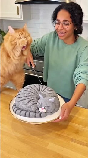 Watch How This Real Cat Reacts to a Cake Getting Cut — SO FUNNY! 🎂😂
