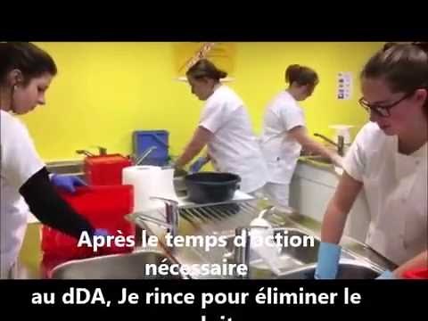 le bionettoyage des jouets bac pro ASSP 2nde