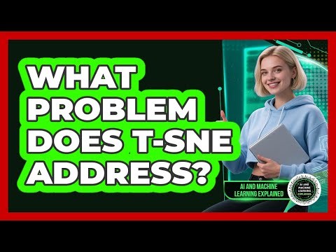 What Problem Does t-SNE Address?