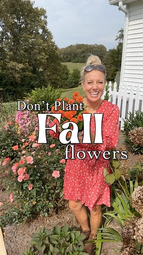 Do you buy fall flowers? 🌼🌼🌼 I’m not going to lie. I BUY FALL FLOWERS! 😂😂😂 But it saves a ton of money 💵 and time ⏰ and effort 💪 when my summer flowers last into fall. Then I can just add a few fall flowers 🌼🌼🌼 to the garden or the front porch to set the mood. It’s not a budget-breaker. 👏👏👏 Mums are hard to resist this time of year! 🥰 So go ahead and get some…but also think about adding flowers 🌸 to your garden next spring that will give you a lot of bang 💥 for your buck and for
