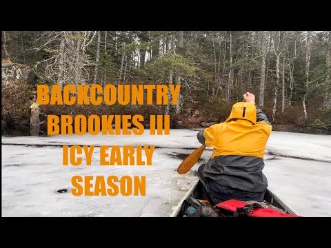 Backcountry Brookies III - Icy Early Seaosn