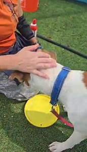 3.3K views · 111 reactions | 10-2-25 OLIVER HAS A RESCUE HOLD WILL...