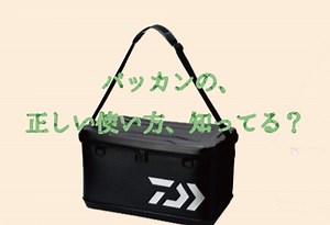 バッカンの使い方選び方講座【超便利・必需品】