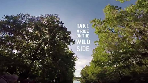 It's always a wild ride at Will Bill's Airboat Tours on the Withlacoochee River (I-75 to FL Highway 44) in Citrus County, Florida! | Discover Crystal River Florida