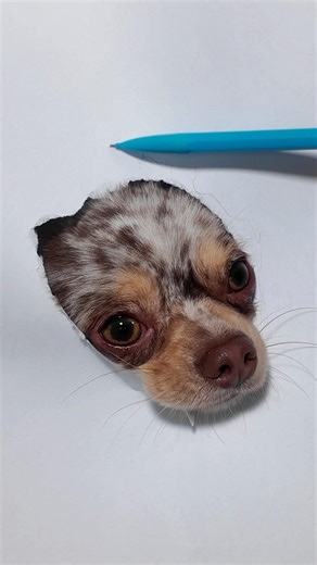A 3D drawing of my dog😄😜