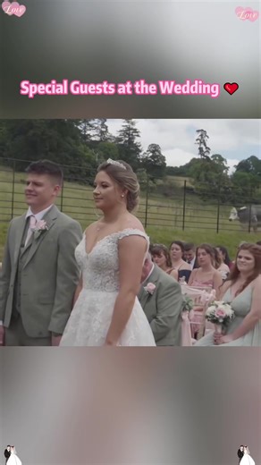 Heartwarming Special Guests at the Wedding