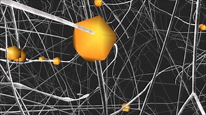 The human brain sees the world as an 11-dimensional multiverse – Lifeboat News: The Blog