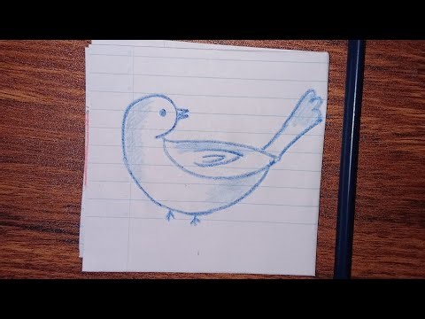 Easy bird drawing| how to draw a bird sitting on a tree