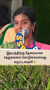இதயத்திற்கு தேவையான சத்துக்களை கொடுக்கவல்லது கருப்பு கவுனி பாரம்பரிய நெல்🌾🌾🌾 #tamilcultureofficial #agriculture #tamilnadu #reels #tamilculture #tnfarmers | Tamil Culture