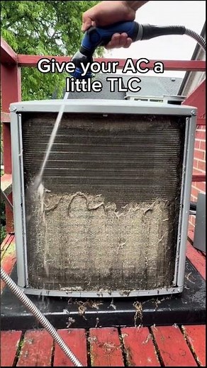 Satisfying AC Cleaning