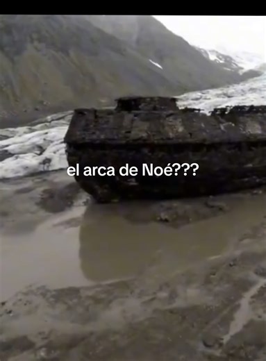 #arca #noe #perdido #featureme #fyp