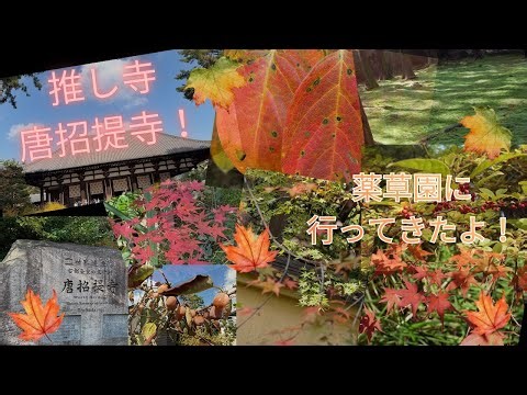 『植物VLOG』推し寺の唐招提寺へ行ってきた！薬草園を見てきたよ！