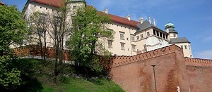 Kraków: słynny kasztanowiec spod Wawelu zniszczony. Pamiętał czasy drugiej wojny światowej