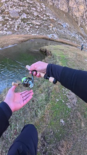 Cette petite décroche 👌🏻 Matériel : -Caméra : DJI osmo action 5 pro -Canne : lag less boron 53 -Moulinet : Cardiff XR C2000S -Leurre : d-compact fes #fishinglegacy #peche #nokill #truite #fish