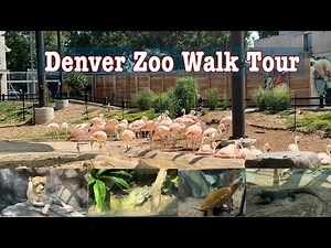 Denver Zoo Walk Tour | Visit Denver | Visit Colorado