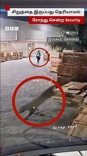 சிறுத்தை இருப்பது தெரியாமல் ரோந்து சென்ற காவலாளி | Leopard