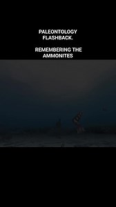 61K views · 1.3K reactions | PALEONTOLOGY FLASHBACK REMEMBERING THE...