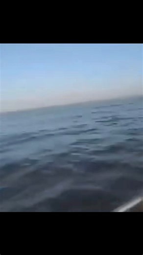 #UFO #UAP #aliens #extraterrestrial #creepy #WeAreNotAlone #conspiracies #military #Blackhawks #USO | Alien World