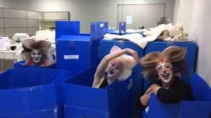 Inside Scoop - CATS Touring South Korea