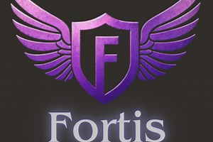 Fortis Safe Mapping