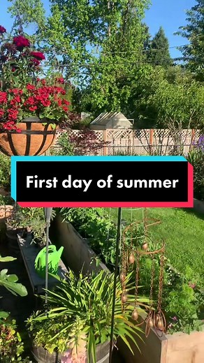 Beautiful Garden Showcase: Plants and Flowers Display