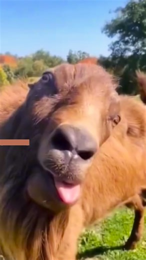 264 reactions · 14 shares | DON'T MISS OUT! All 1N Finale Concert  Nov 23 | Sunday | 6PM SM North Edsa Skydome ️ Ticket  https://smtickets.com/events/view/15850 *Also available in all SM ticketing outlets nationwide! 1st One All 1N @1stOneOfficial #1stOne #1stOneALL1N #TheFinale | 1ST. ONE | Facebook