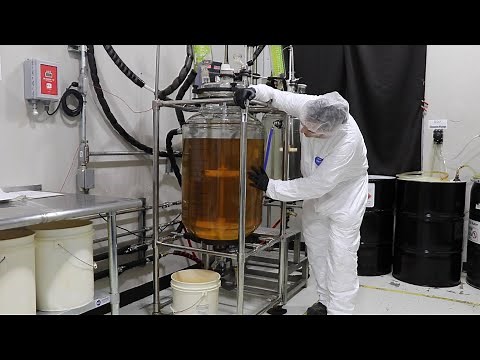 Full Scale Delta 8 THC Reaction