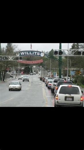Garfield the cat in Willits Ca? nobody told me he lives here??! #fyp #funnycat #crazy #californiacoast #viral