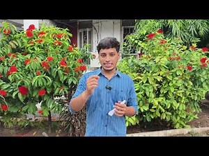 S Y Bcom Honours Admission Process Now Start For MSU Baroda #msuniversity #msubaroda #msu #bcom