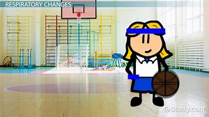 Physiological Effects of Exercise | Changes & Benefits - Video | Study.com