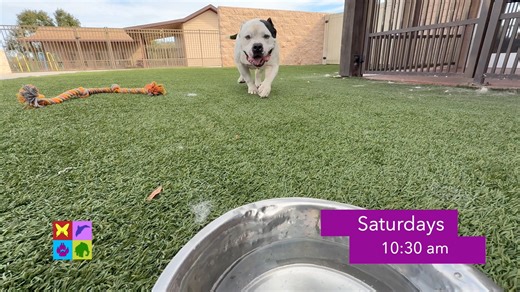 13 reactions | Ahead this week on a new Animal Outtakes: | Animal Outtakes | Facebook