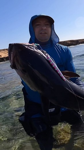 One of the most agressive fish in the Red Sea 🔥💪. using the most powerful assist hooks SF REEFMASTER NP 3/0 @bkk_arabia @bkkhooksinternational With the beast friends: @coast_anglers @raedalsabbab @islam_akawy #fish #fishing #nature #sea #naturephotography | Mohssine Fishing