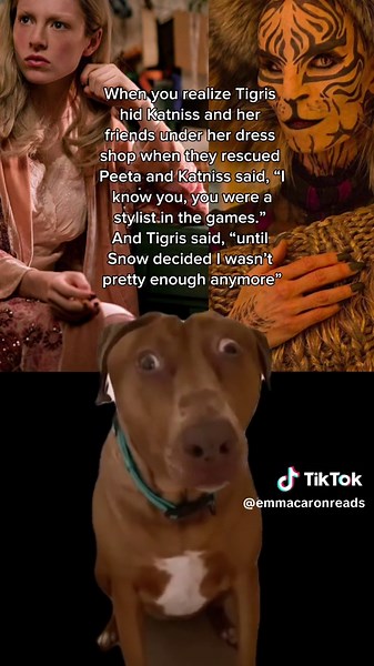 Just saw this movie and I immediately was like WAIT… TIGRIS?! #hungergames #balladofsongbirdsandsnakes #balladofsongbirdsandsnakesmovie #balladofsongbirdsandsnakesedit #tigris #thehungergames #thehungergamesedit #catchingfire #mockingjay #peeta #katniss #snow