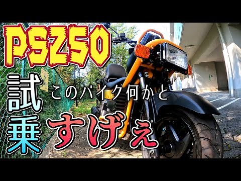 【試乗】PS250 このバイク何かとすげぇ‼️遊び心ありすぎるでしょ
