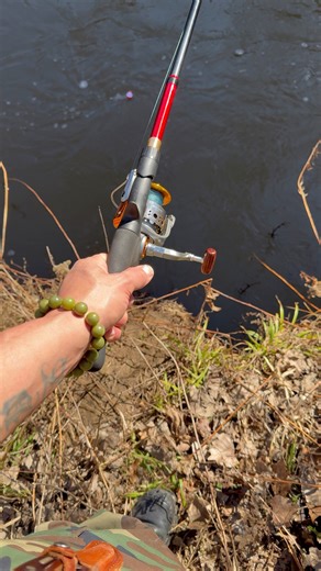 Native Americans who are not officially enrolled in a tribe—or who belong to tribes not recognized by the federal government—often complain about being pressured or forced into the reservation system due to a combination of historical coercion, contemporary systemic barriers, and complex issues surrounding identity and rights. National Academies of Sciences, Engineering, and Medicine National Academies of Sciences, Engineering, and Medicine 3 The complaints regarding being "forced" into a reserv