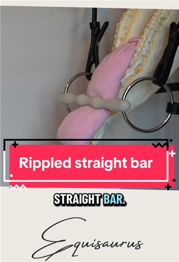 Having spoken with multiple people who use this bit and also want the kindest bit for their horse - lets discuss how gentle it really is 🤗 #horses #horseriding #horsebits #bitmechanics