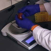 비디오: BoTest 매트릭스 분석을 사용한 복잡한 매트릭스에서 보툴리눔 신경독의 분리 및 정량화