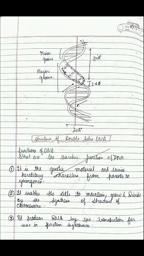chapter6 molecular basics of inheritance part 1 class 12