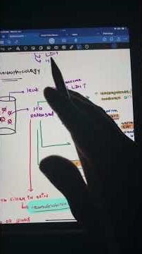 What is Hemolytic Anemia? | Easy Explanation for Medical Students