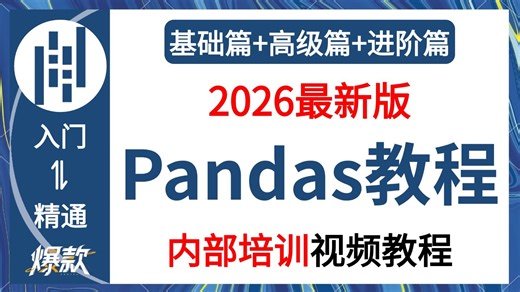 【全17集】小白必看！这绝对是B站最易学的Pandas教程，从零基础到精通（全程干货）