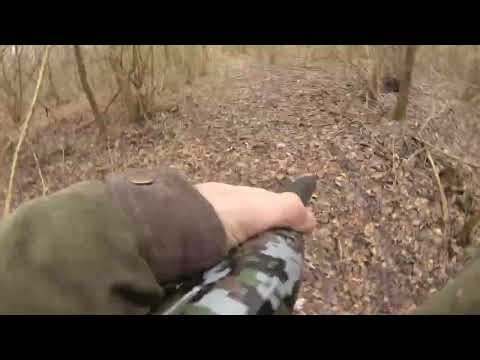 Lov na sakala sa gonicima | SRG Mala